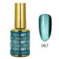 Moonlight Cat Eye Gel 18ml 067